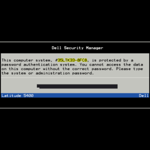 Dell Security Manager. This computer system, #xxxxxxx-8FC8, is protected by a password authentication system. You cannot access the data on this computer without the correct password. Please type the system or administration password.