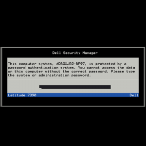 Dell BF97 System Password screen