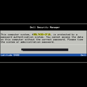 Dell Security Manager. This computer system, #xxxxxxx-CF1B, is protected by a password authentication system. You cannot access the data on this computer without the correct password. Please type the system or administration password.