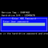 Dell Service Tag without suffix, Hard-Drive S/N (NEW). Enter HDD password. Enter User password